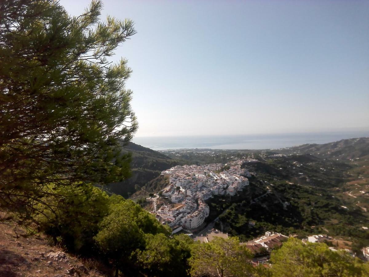 Casa Raquel Daire Frigiliana Dış mekan fotoğraf